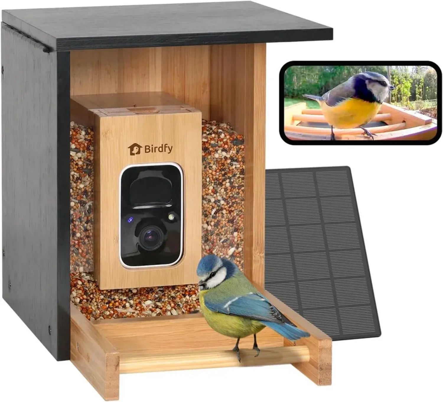 NETVUE Bambus Mini-Vogelhaus mit Kamera und Solar-App für Live-Vogelbeobachtung